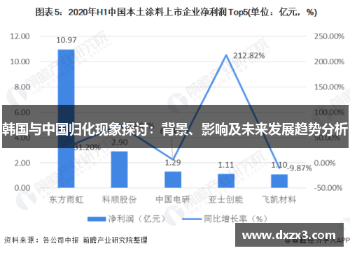 韩国与中国归化现象探讨：背景、影响及未来发展趋势分析
